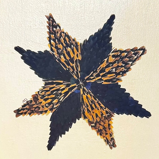 The Barn Star Feather Star Art Print