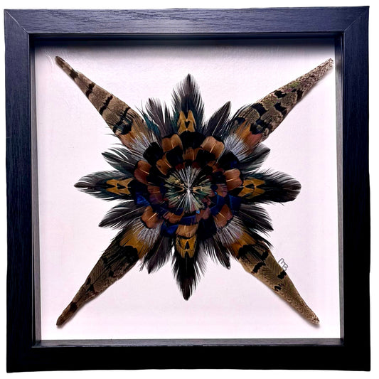 The Spiral Star