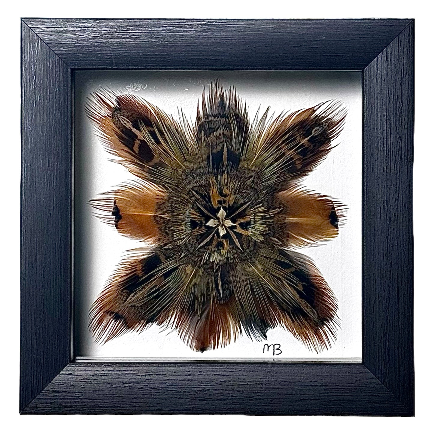 The Ruffed Crocus