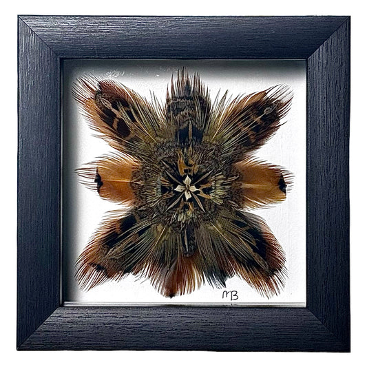 The Ruffed Crocus