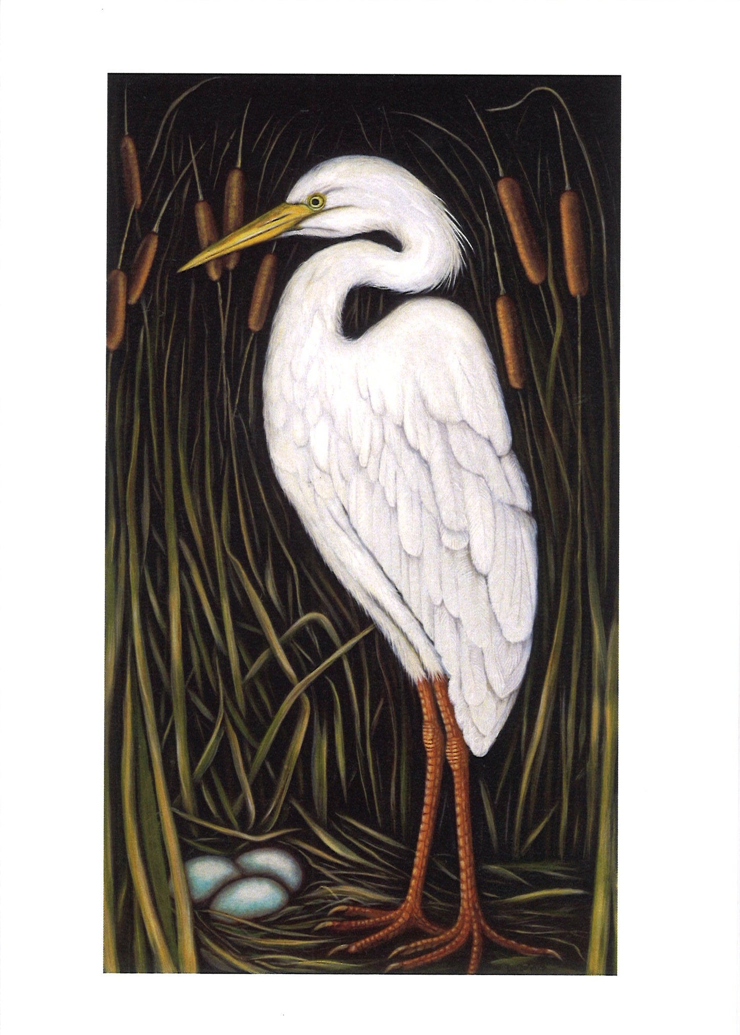 Great White Heron Greeting Card