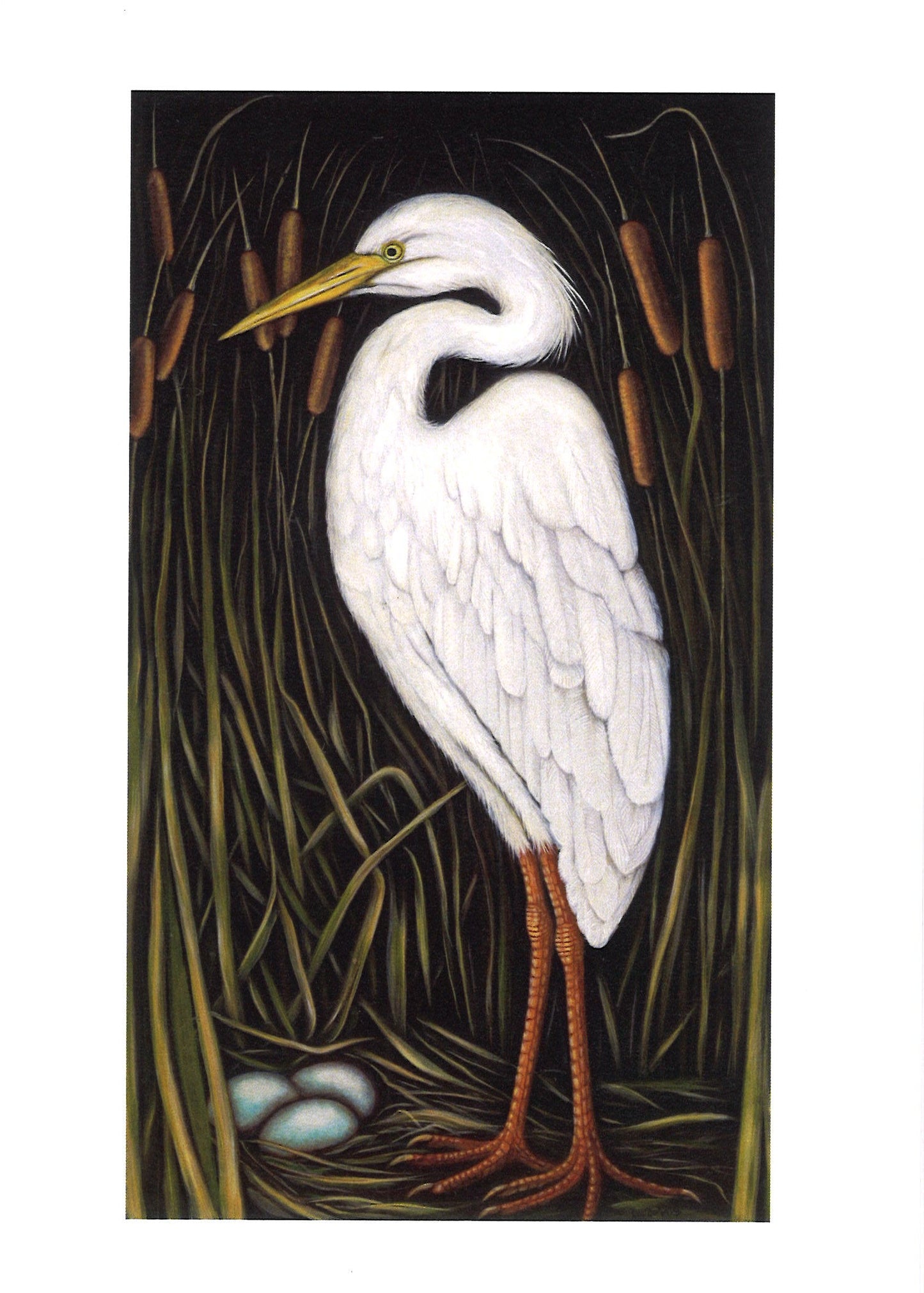Kellie Rae Theiss For the Love of MN Postcard Set | Bird Collection