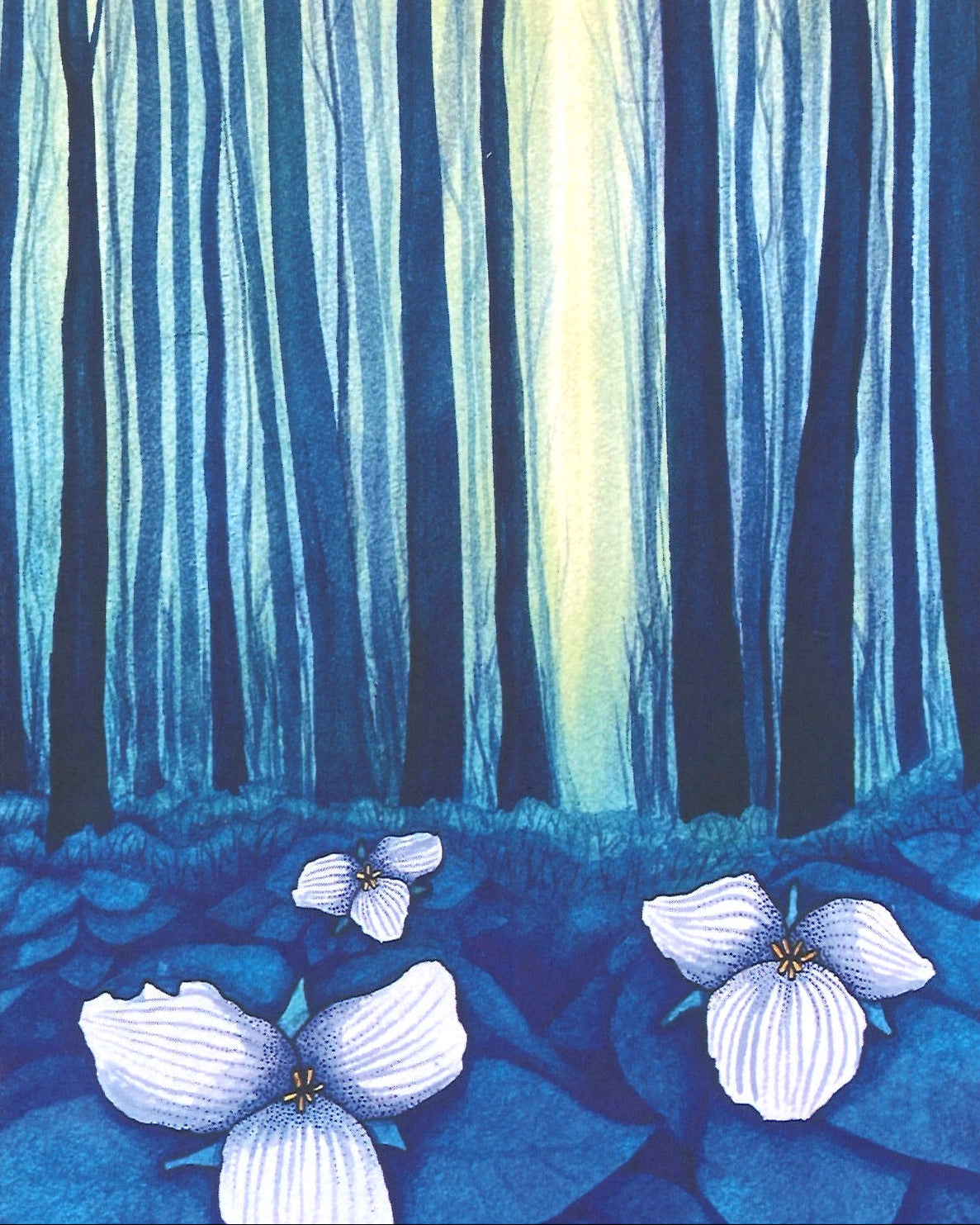 Growing Towards the Light Greeting Card