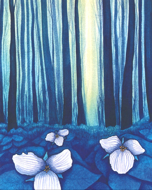 Growing Towards the Light Greeting Card