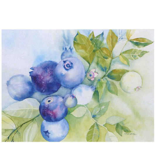 Blueberries (watercolor) Greeting Card