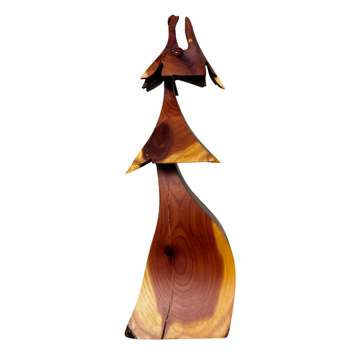 Juniper Dragon Tree 8.5"