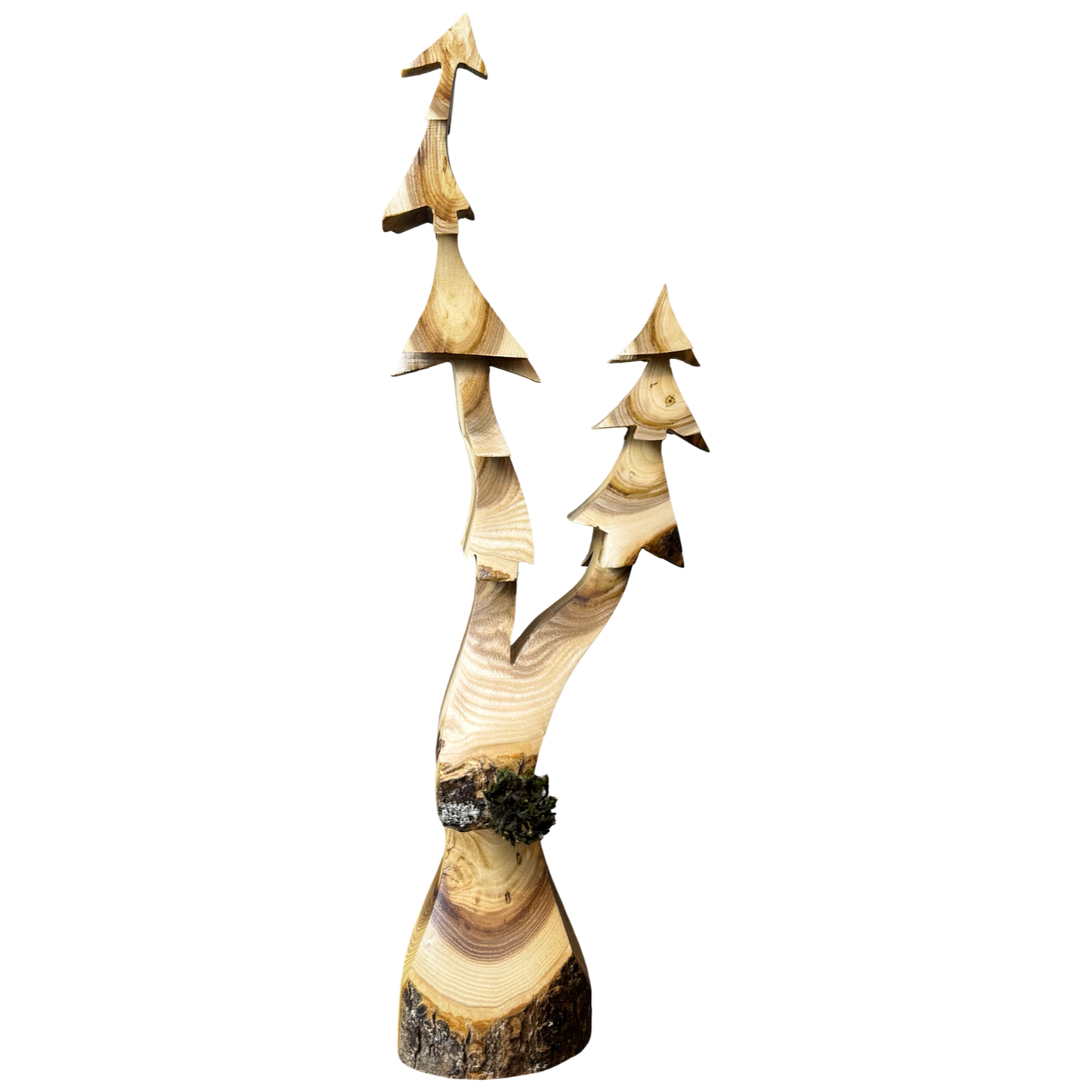 Double Black Ash 14"Tree