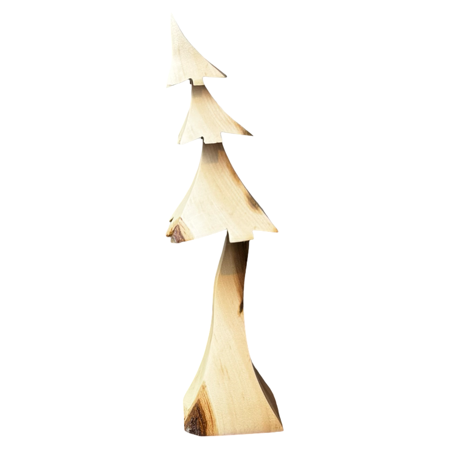 Clouded Maple 7.5" Tree