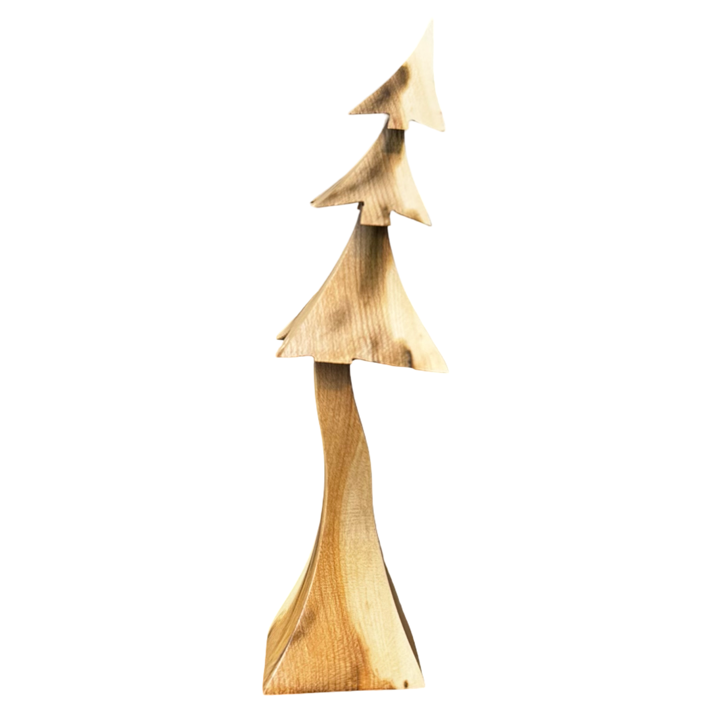 Clouded Maple 7.5" Tree