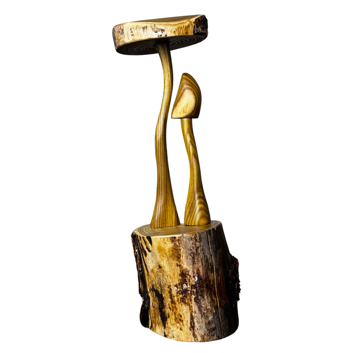 Mushroom Duo on Platform (Sumac)