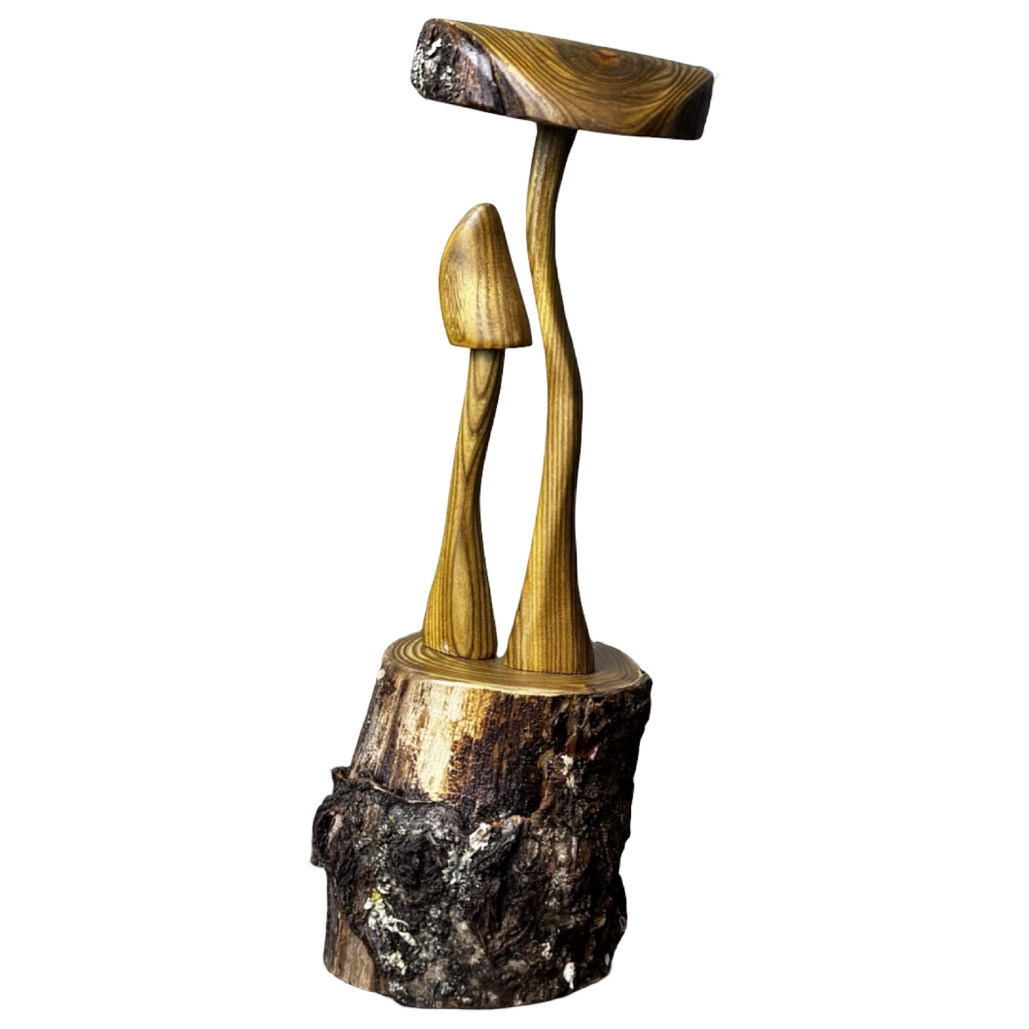 Mushroom Duo on Platform (Sumac)