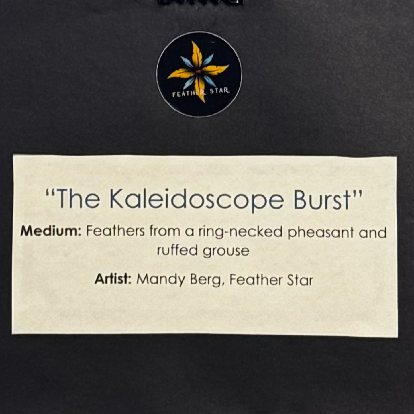 The Kaleidoscope Burst