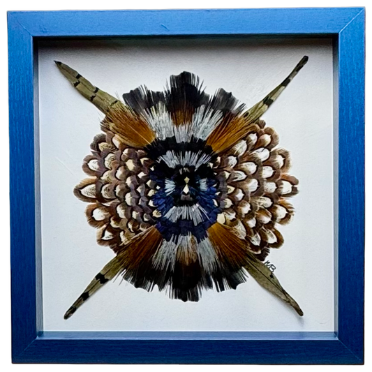 Indigo Pine Star