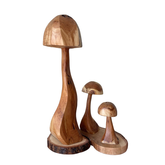 Diamond Willow Mushroom Trio