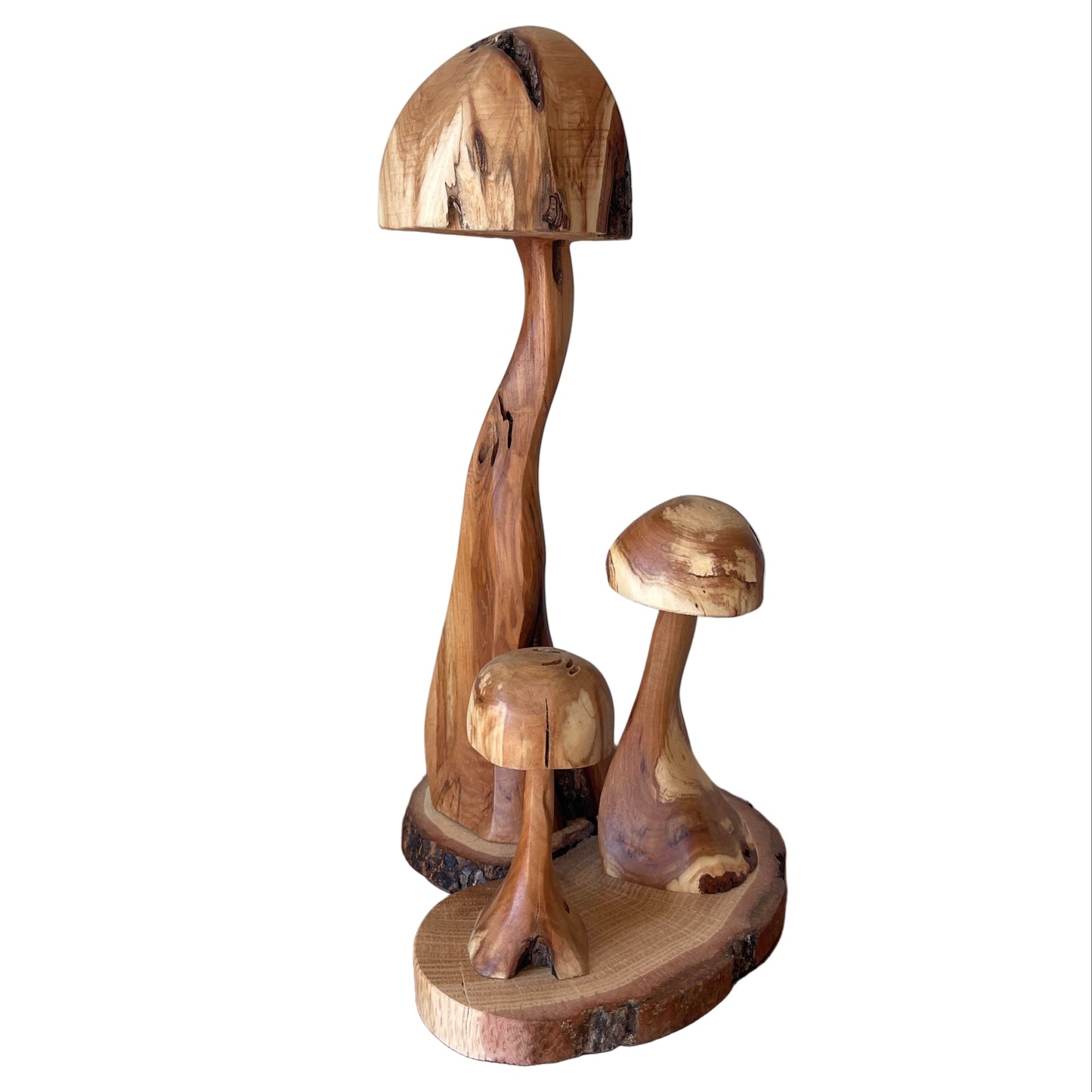Diamond Willow Mushroom Trio