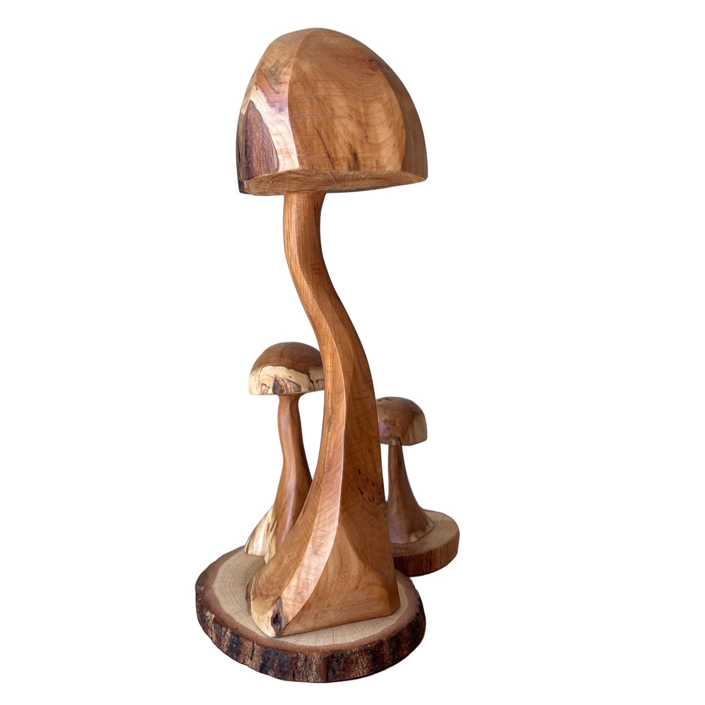 Diamond Willow Mushroom Trio