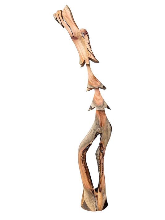 Jack Pine Dragon Tree 18.5"