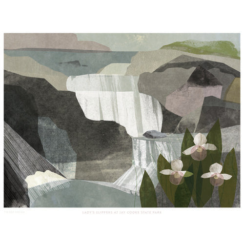 Lady's Slippers at Jay Cooke State Park 11x14 Illustrated Print