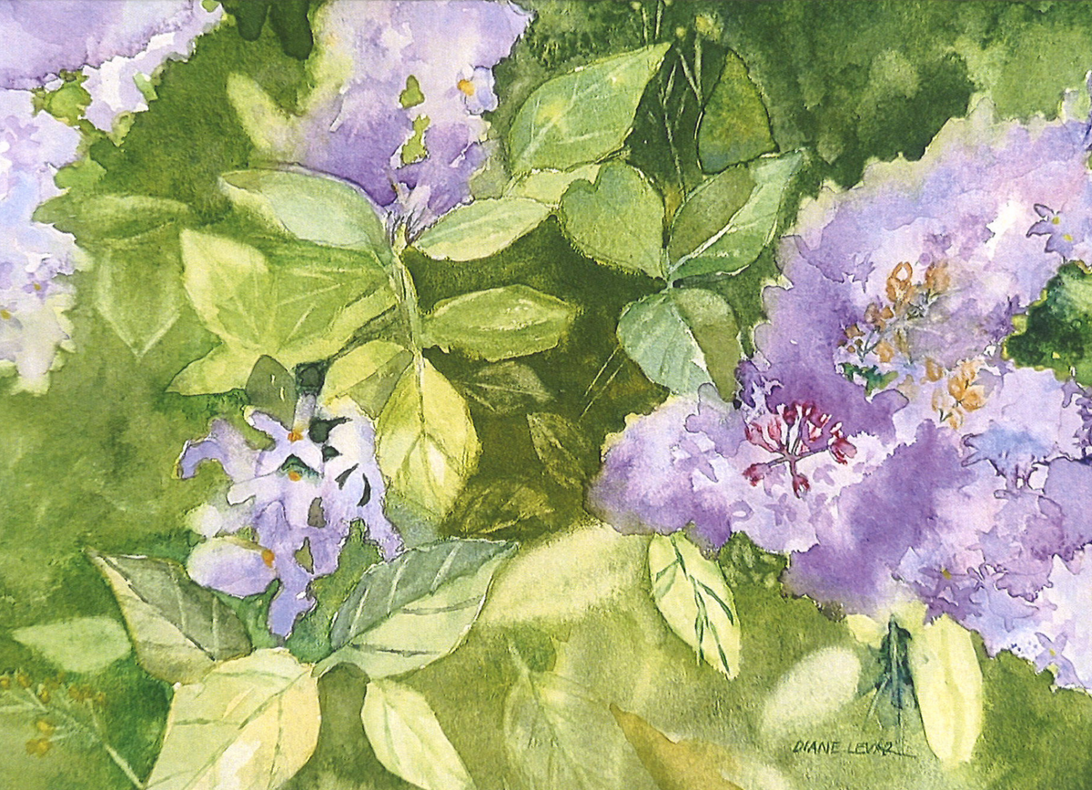 Lilacs Greeting Card