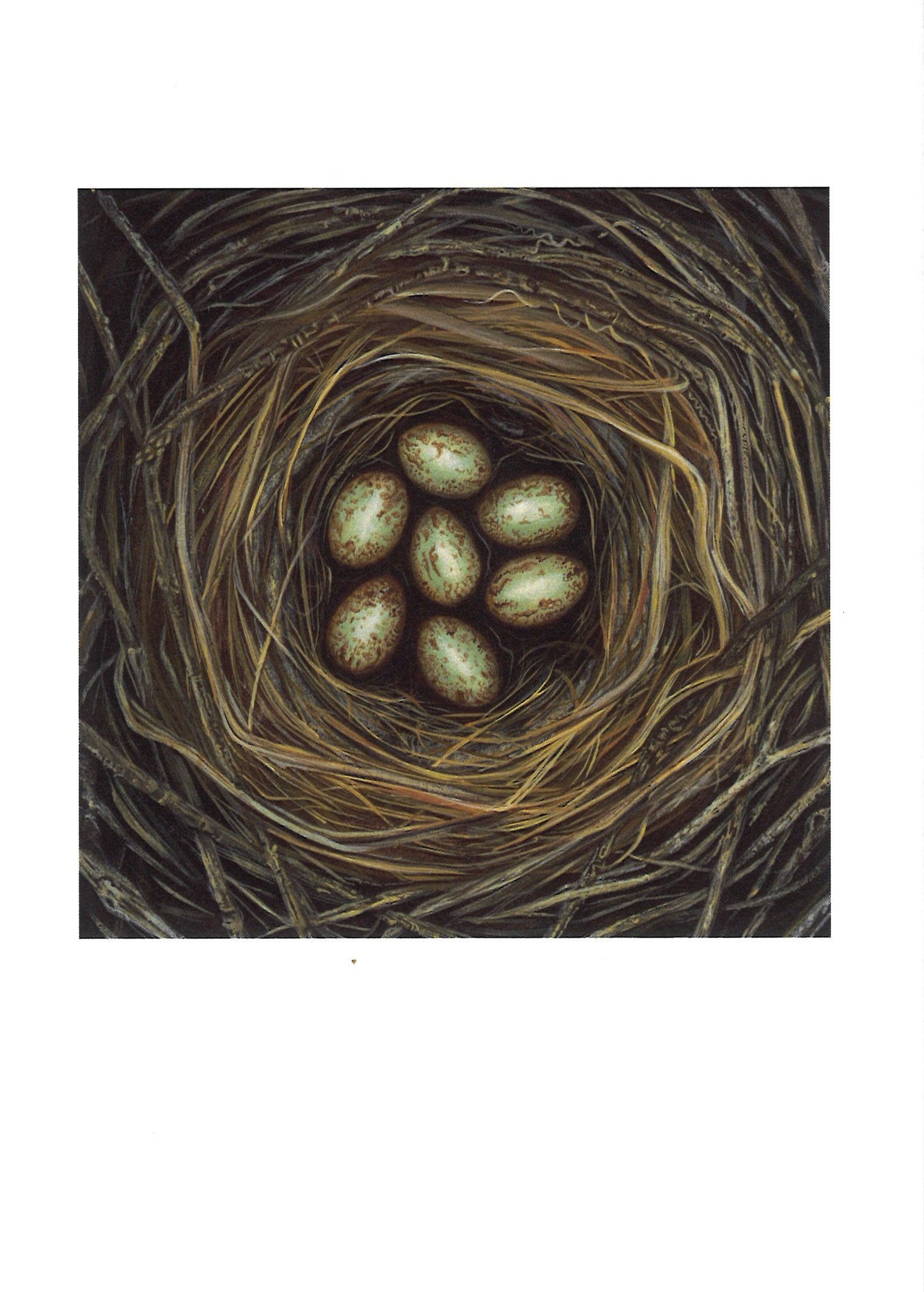 Magpie Nest Greeting Card