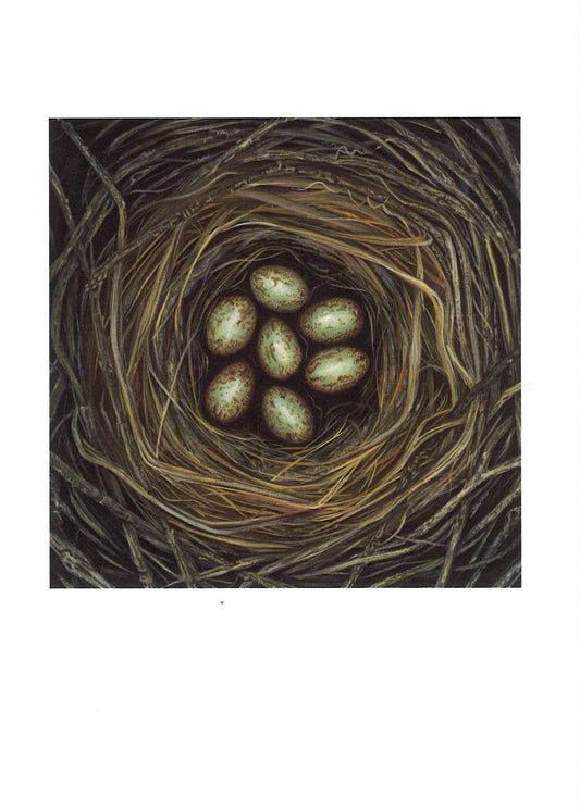 Magpie Nest Greeting Card