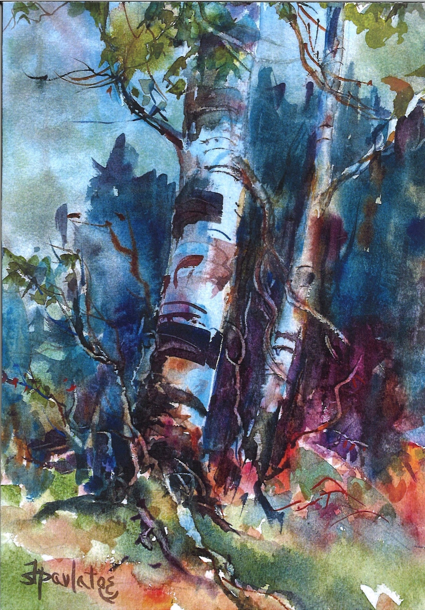 North Shore Birches Greeting Card