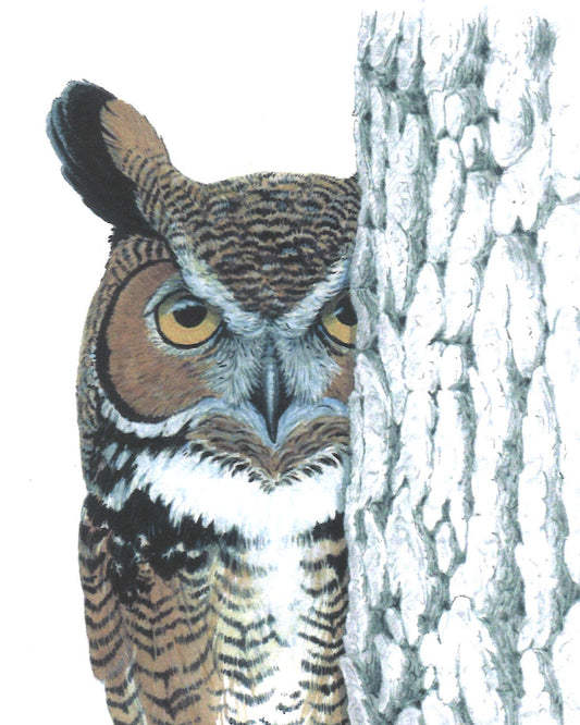 Peeking Owl Greeting Card