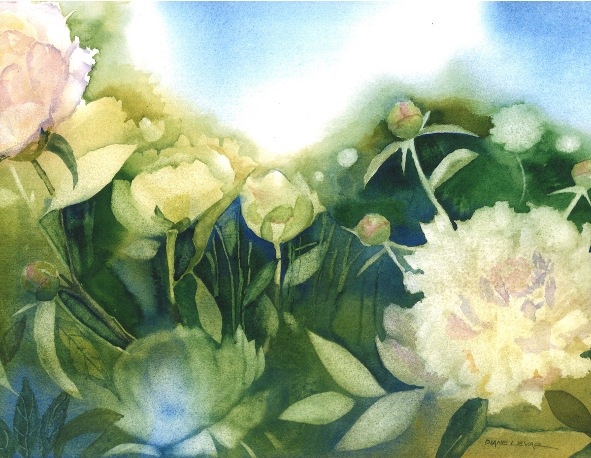 Peonies Greeting Cards