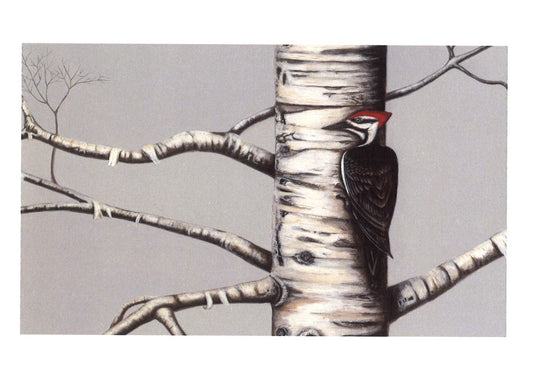 Kellie Rae Theiss Note Cards