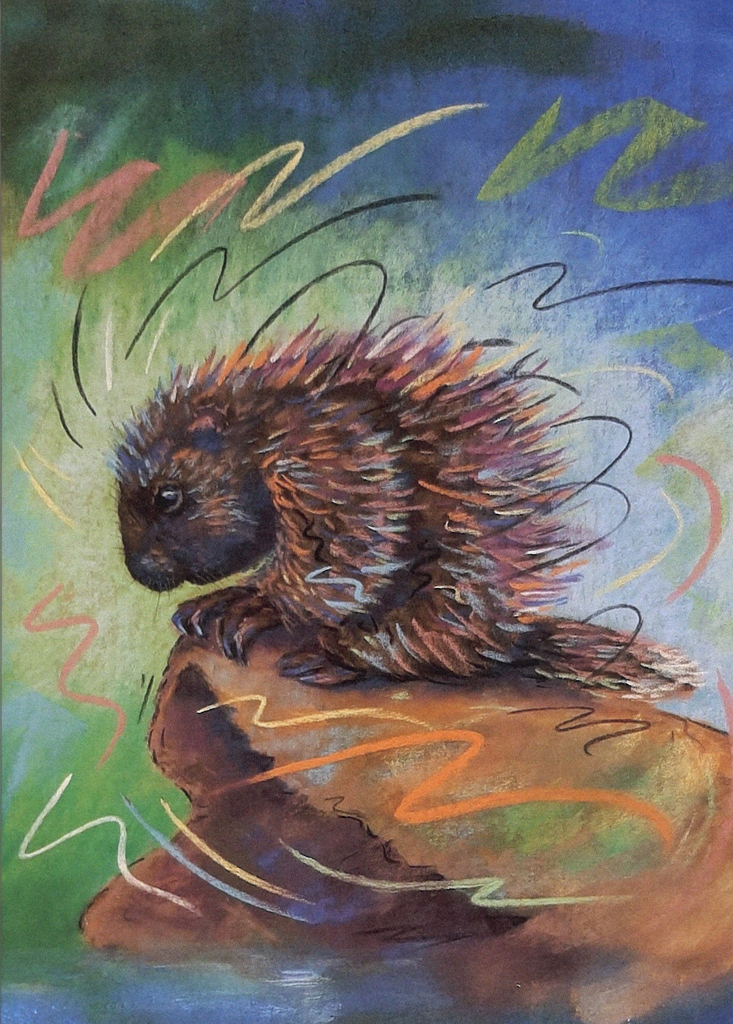 Porcupine Greeting Card