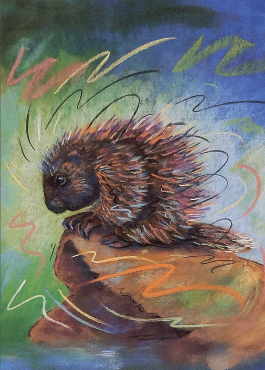 Porcupine Greeting Card