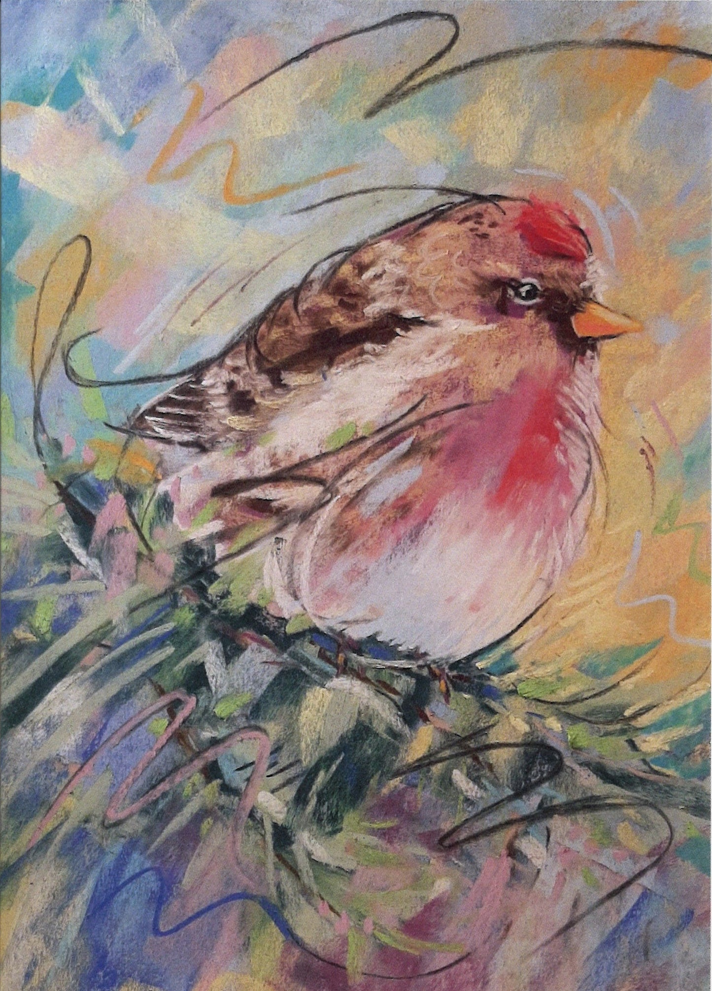 Red Poll Greeting Card