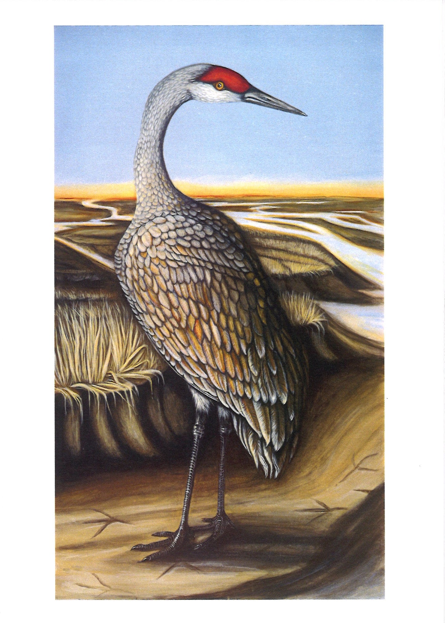 Kellie Rae Theiss For the Love of MN Postcard Set | Bird Collection