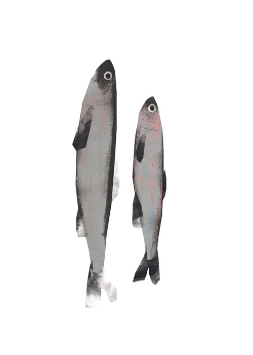 Smelt 5" x 7" Illustrated Print