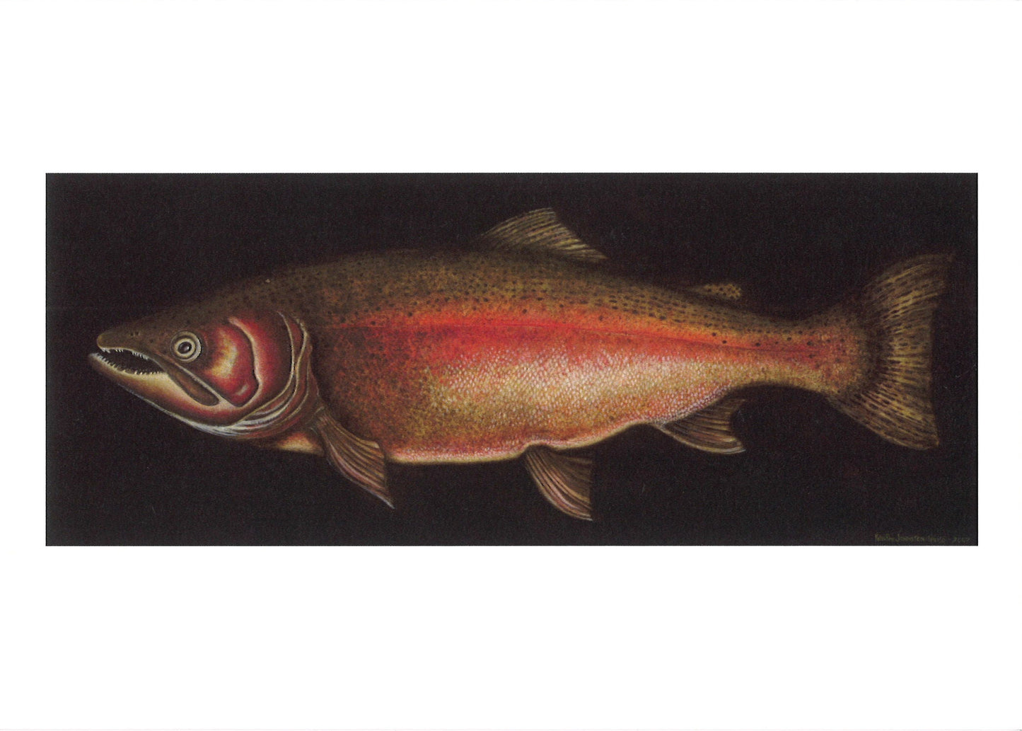 Steelhead Trout Greeting Card