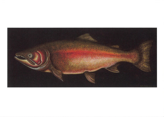 Steelhead Trout Greeting Card