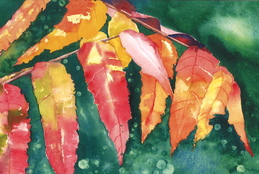 Sumac Greeting Card
