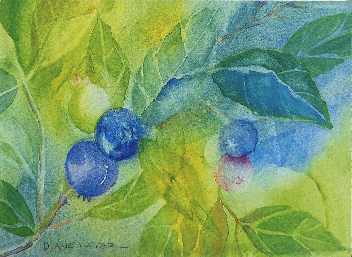 Summer Picking Greeting Card