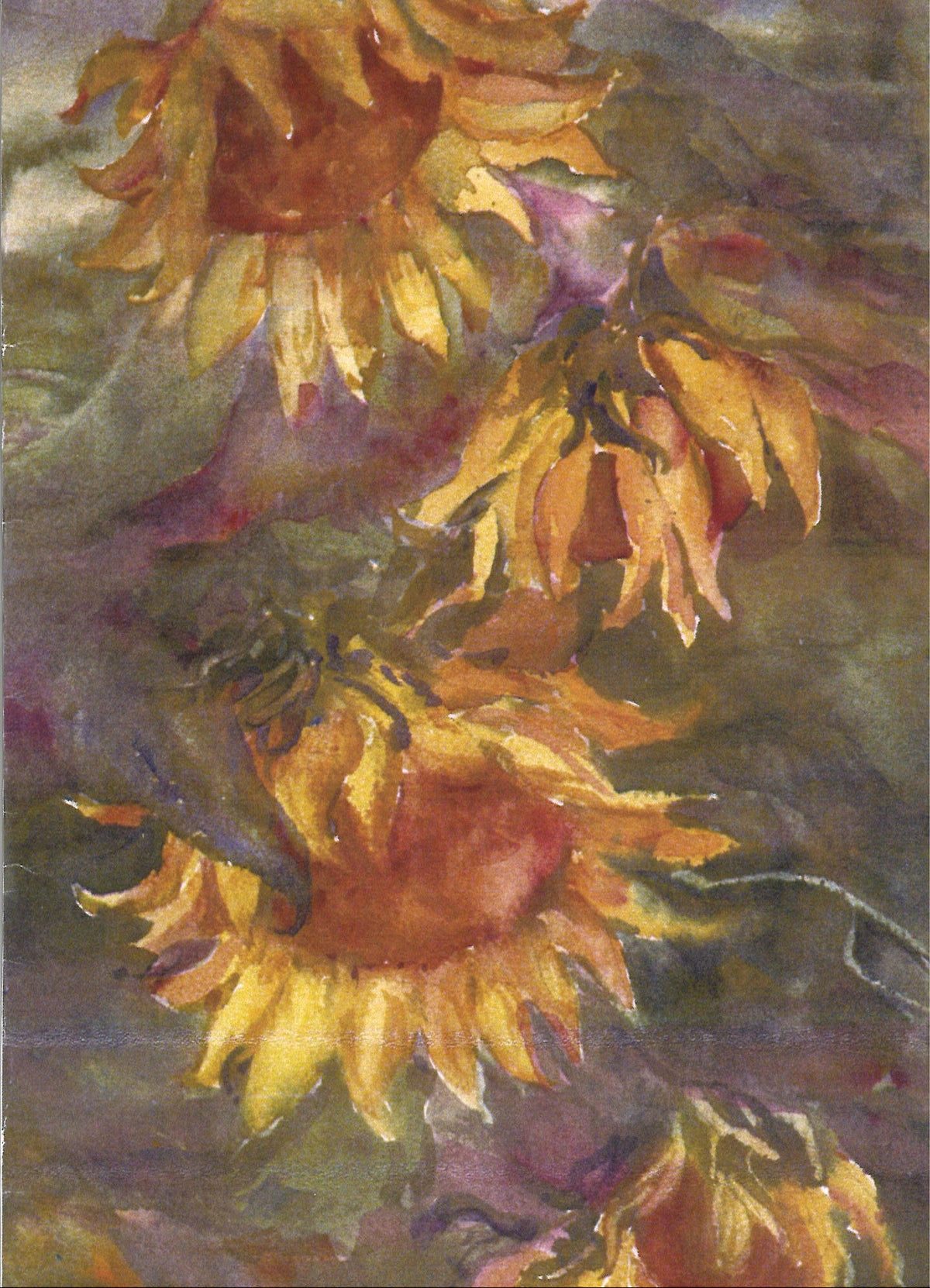 Sunflower Greeting Card