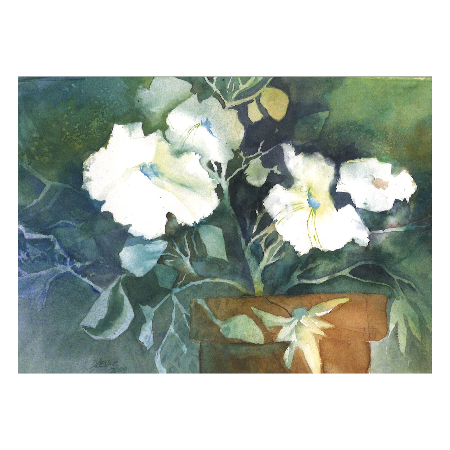 Petunias Greeting Card