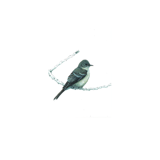 Wood Peewee Greeting Card