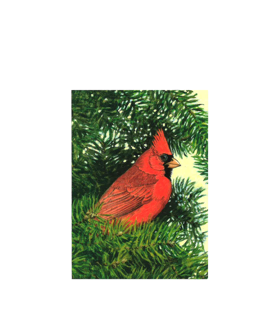 Cardinal in Pine Tree Greeting Card
