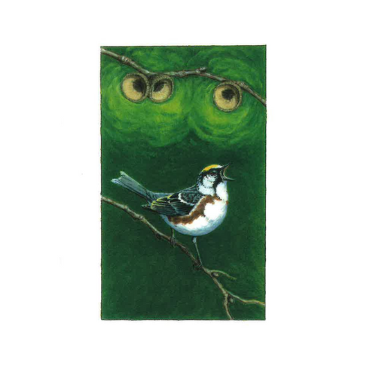 Warbler in Spotlight Greeting Card