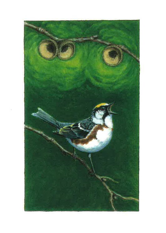 Warbler in Spotlight Greeting Card