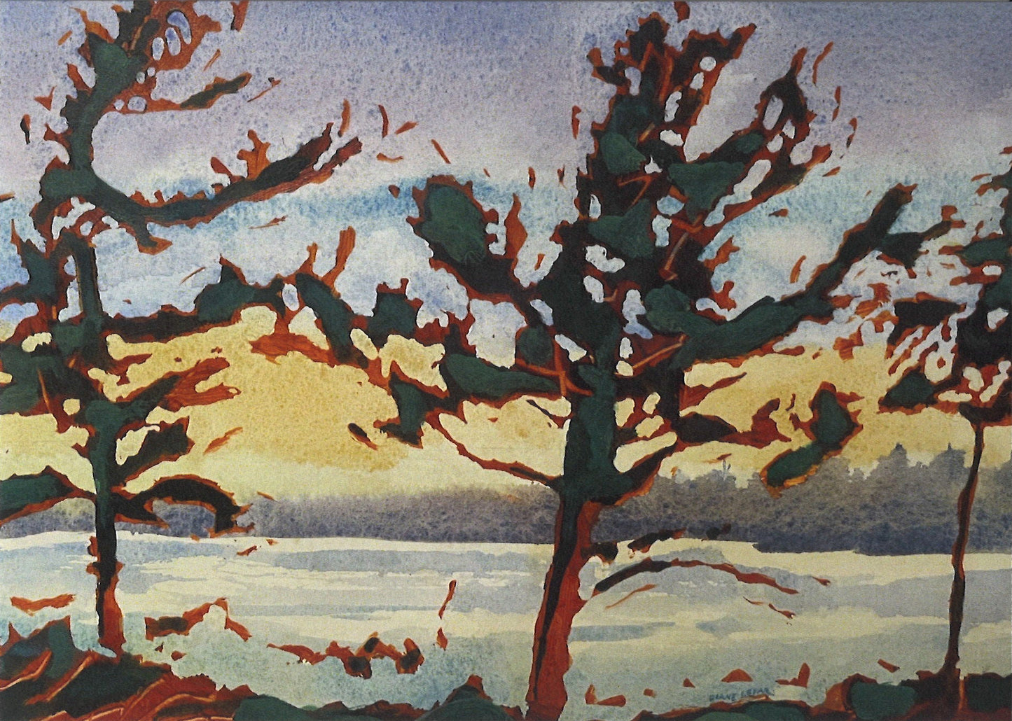 Wind Blown Pines Print