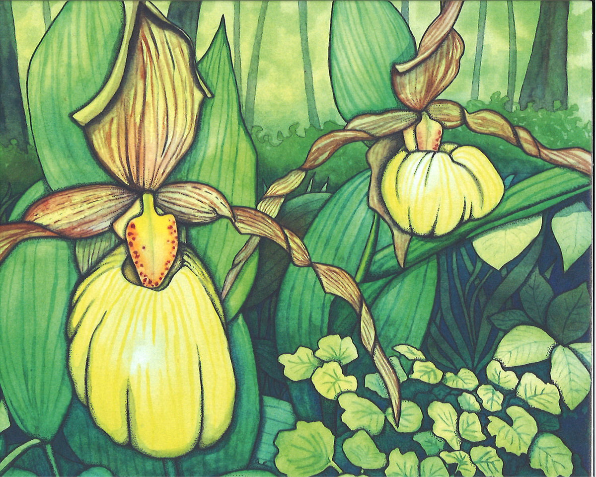 Yellow Lady's Slipper Greeting Card