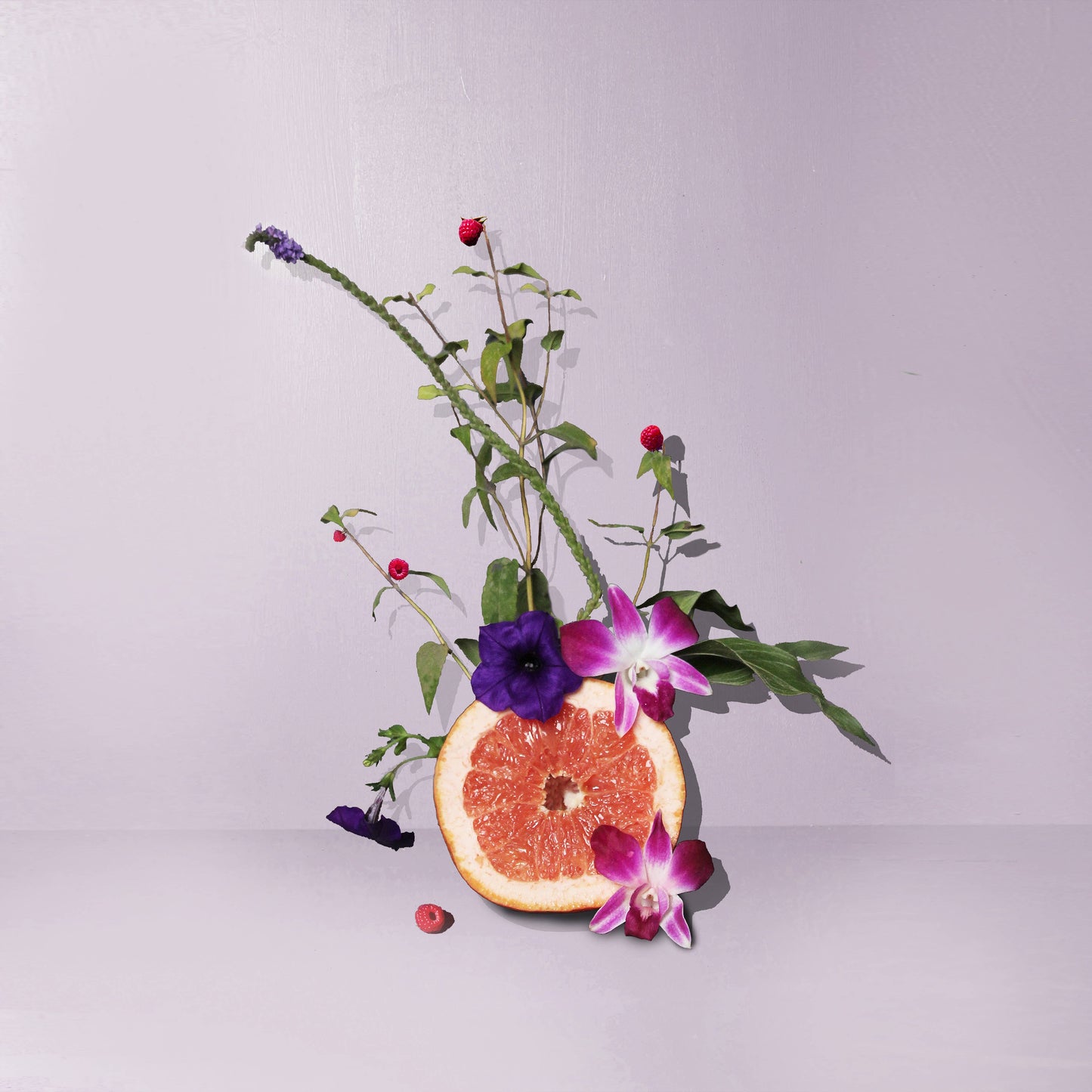 Violet Sway Candle 12 oz.