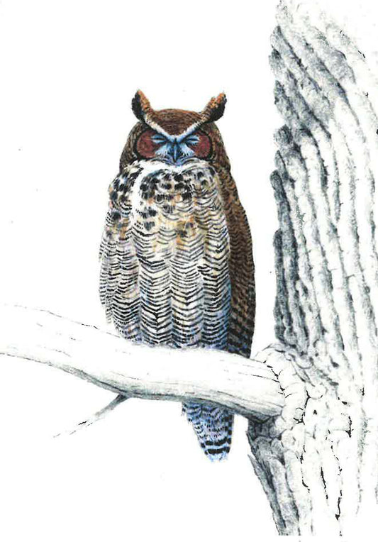 Great-horned Owl Greeting Card
