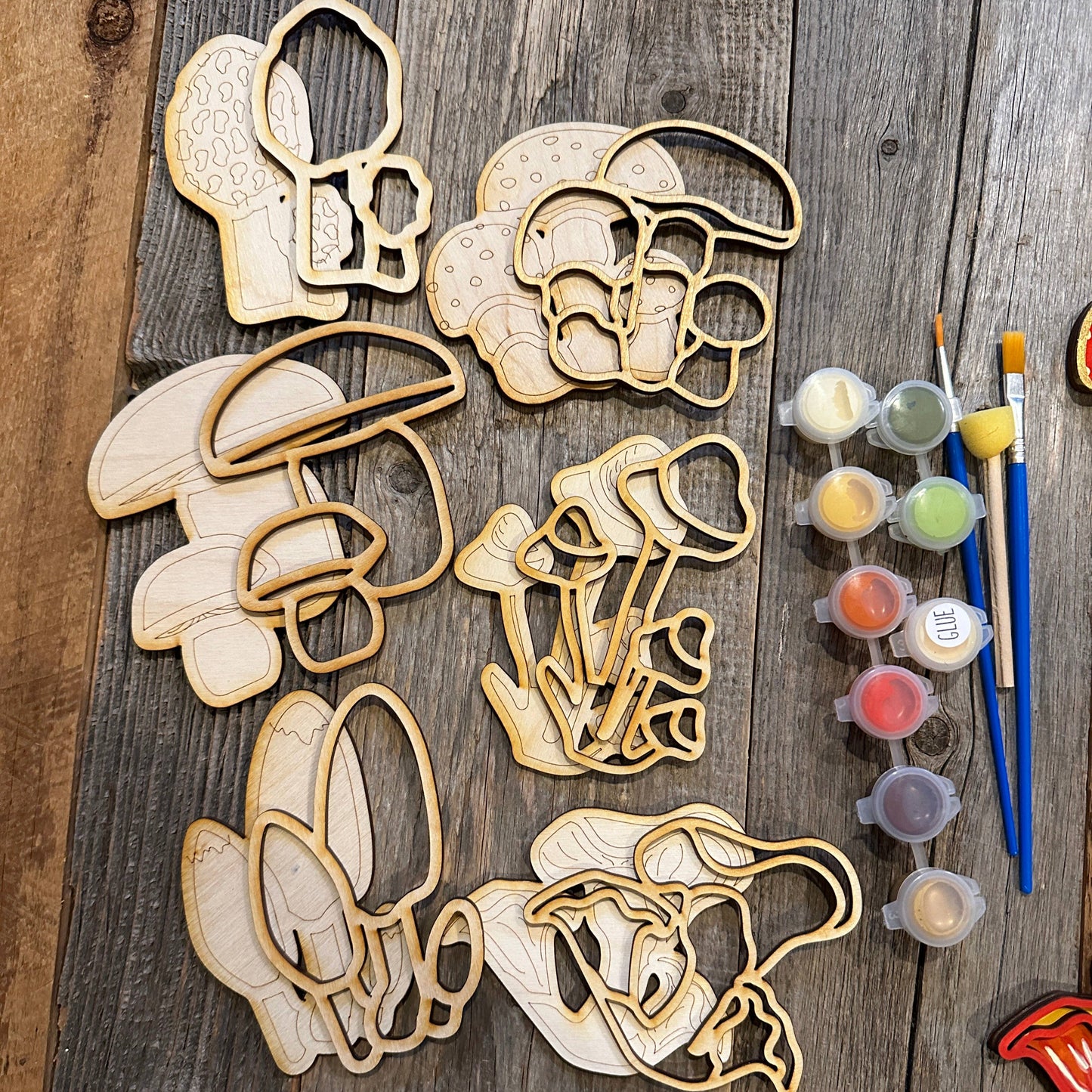 Mini DIY painting Mushrooms and Toadstools gift set