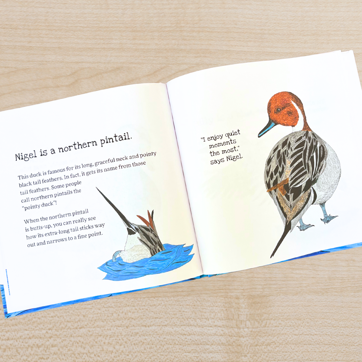 Butts-Up Birdies Book